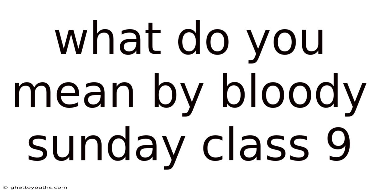 What Do You Mean By Bloody Sunday Class 9