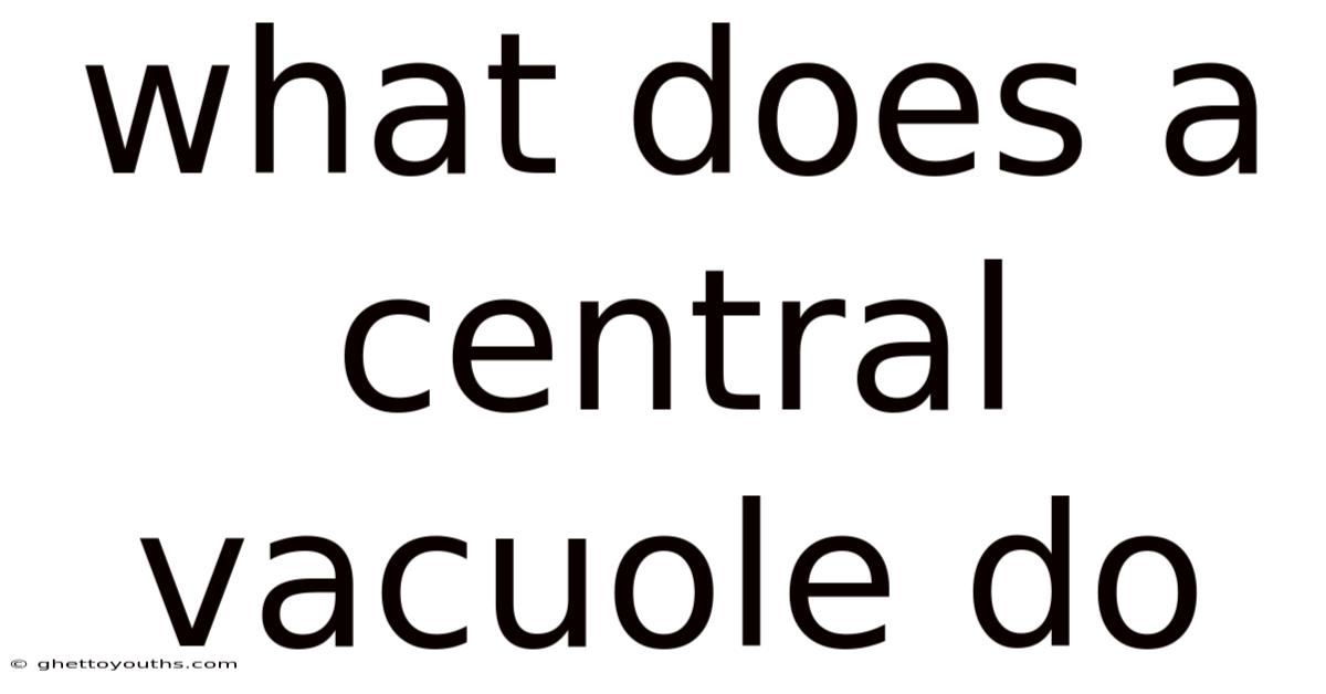 What Does A Central Vacuole Do