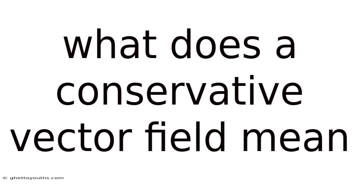 What Does A Conservative Vector Field Mean