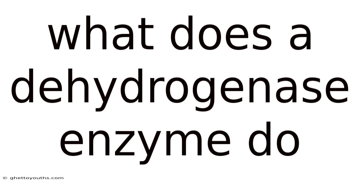 What Does A Dehydrogenase Enzyme Do