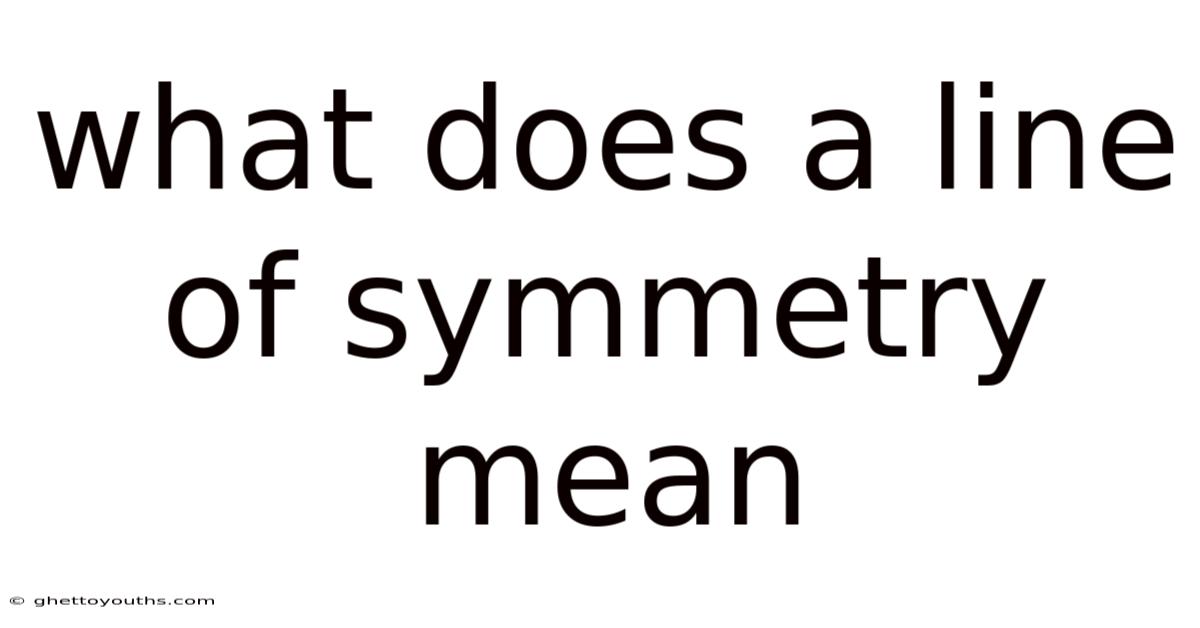 What Does A Line Of Symmetry Mean