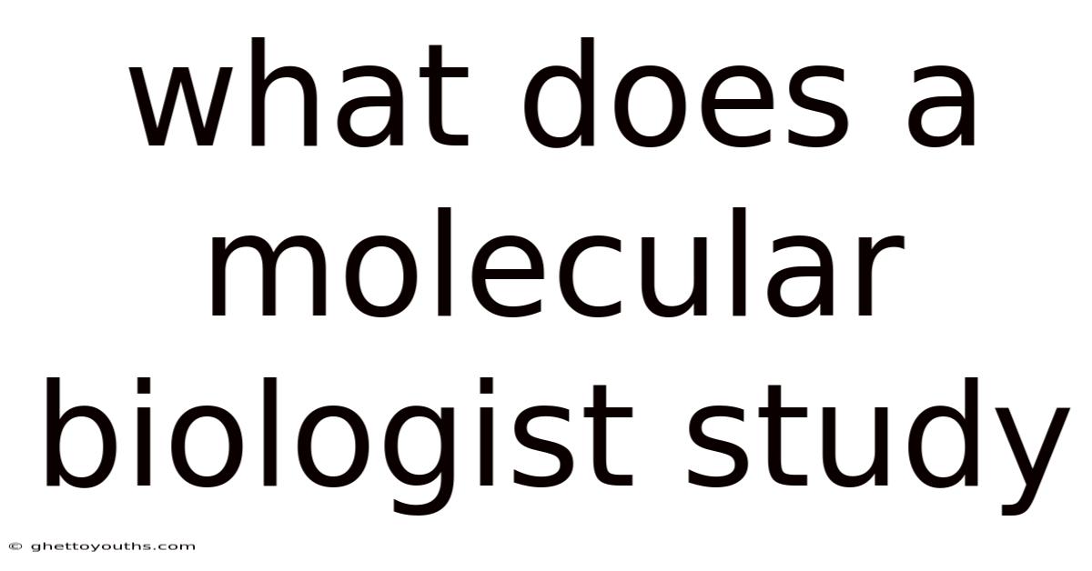 What Does A Molecular Biologist Study