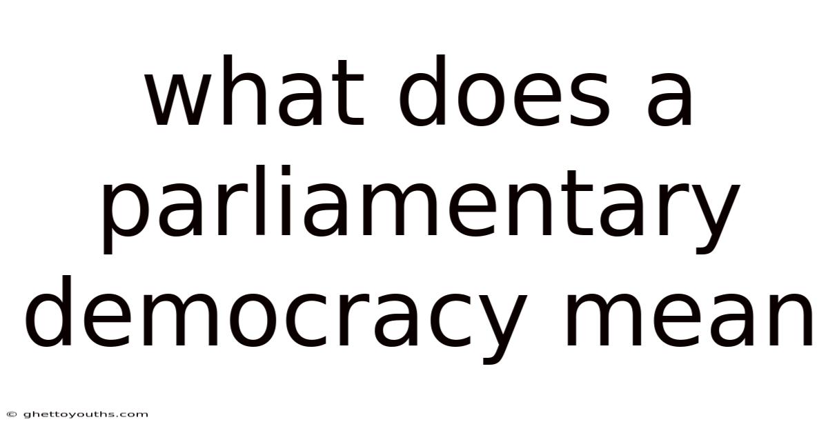 What Does A Parliamentary Democracy Mean