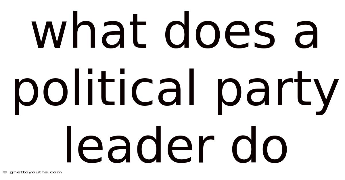 What Does A Political Party Leader Do
