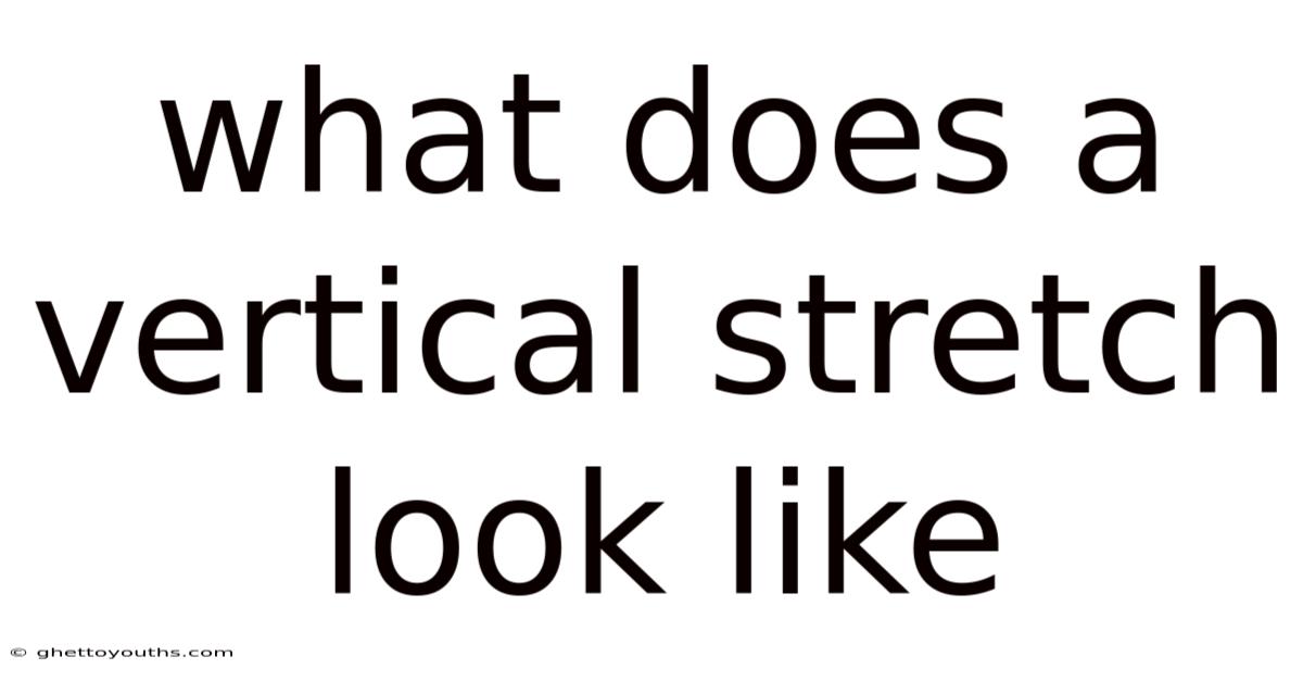 What Does A Vertical Stretch Look Like