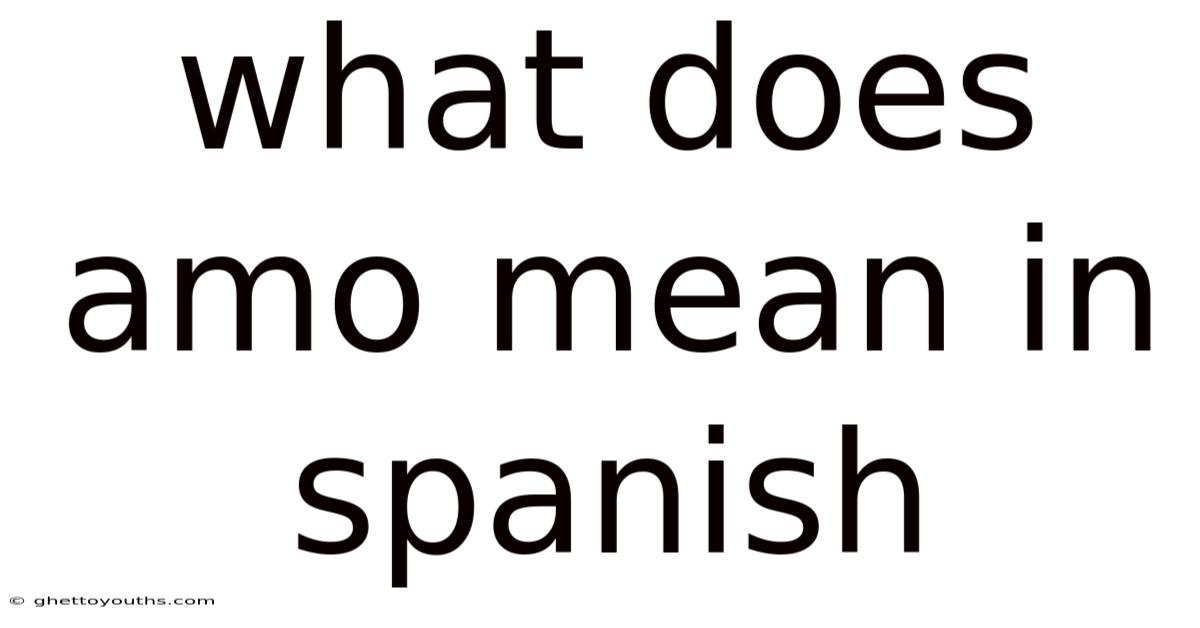What Does Amo Mean In Spanish