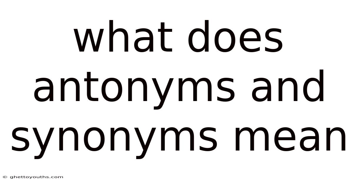 What Does Antonyms And Synonyms Mean