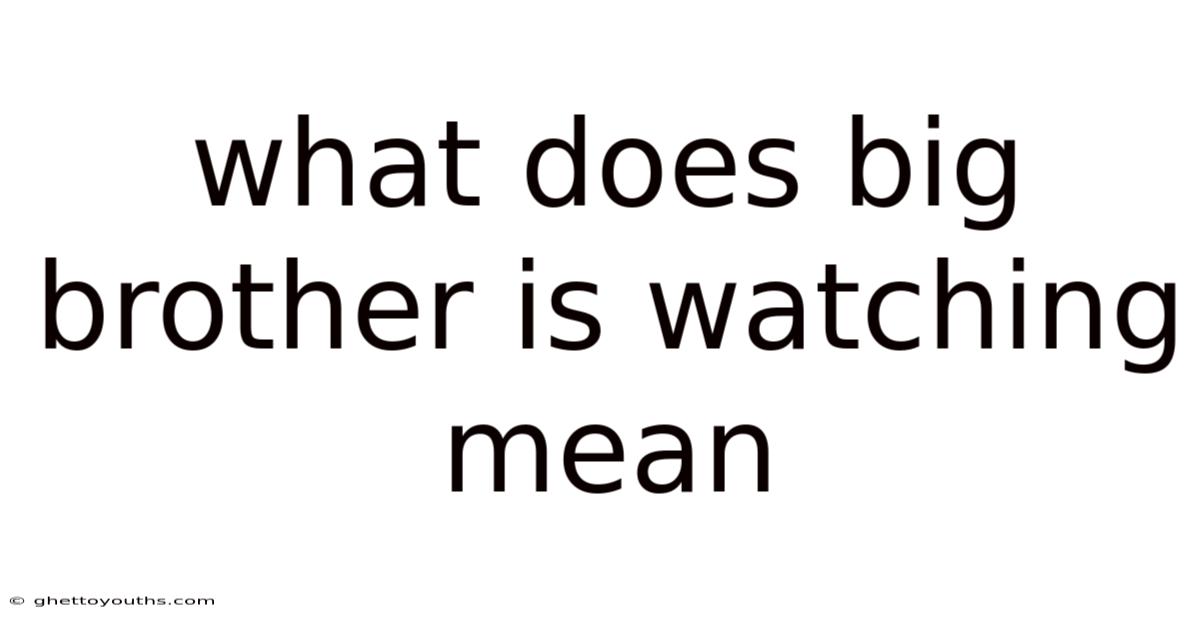 What Does Big Brother Is Watching Mean