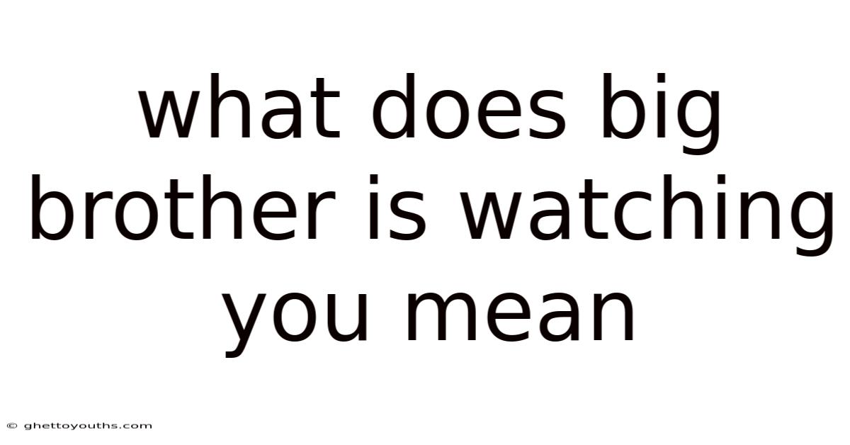 What Does Big Brother Is Watching You Mean