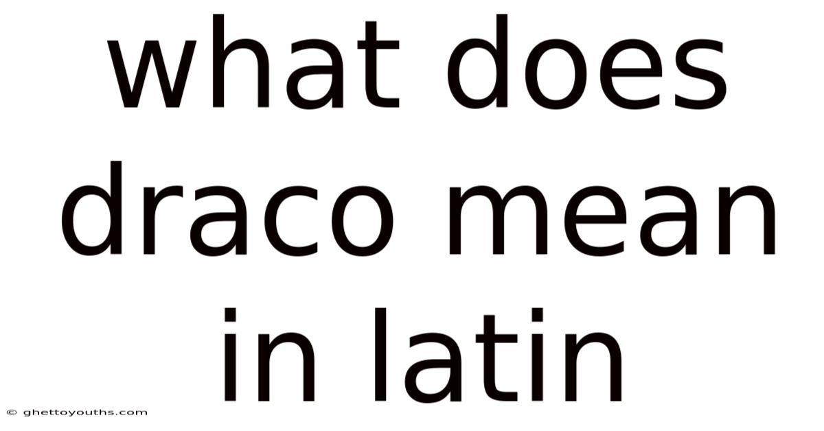 What Does Draco Mean In Latin