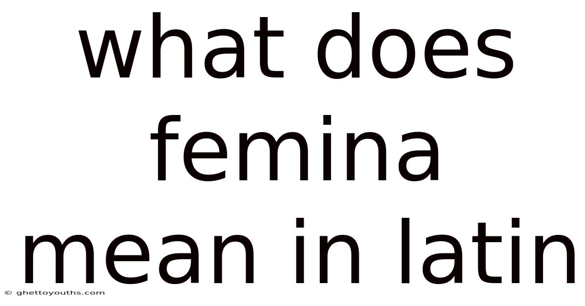What Does Femina Mean In Latin