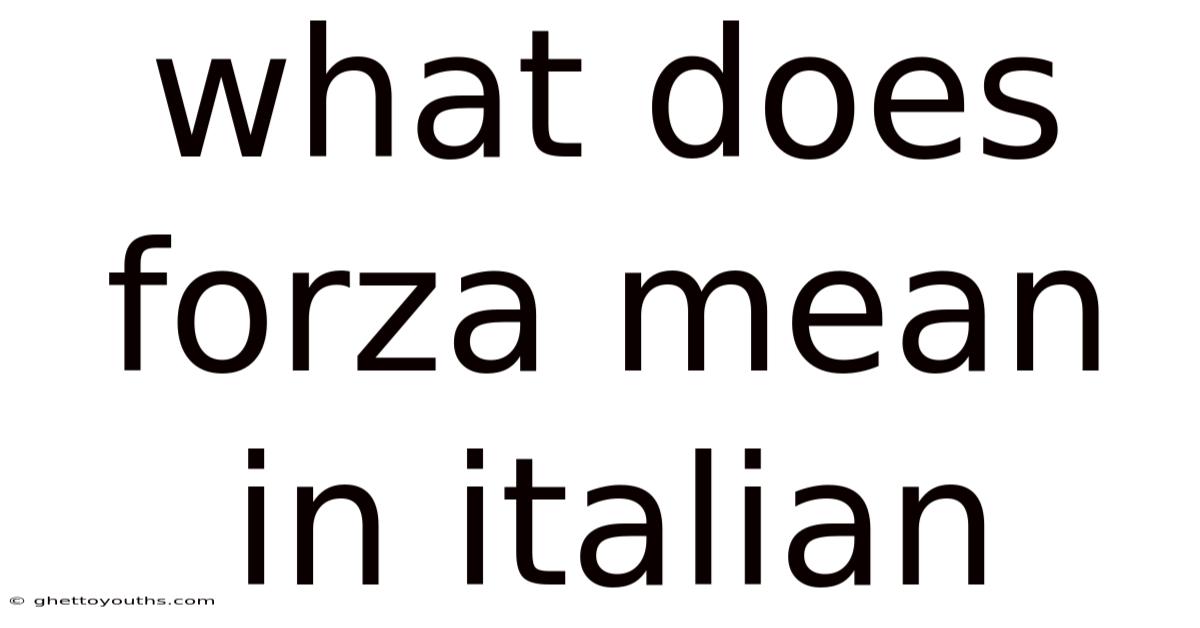 What Does Forza Mean In Italian