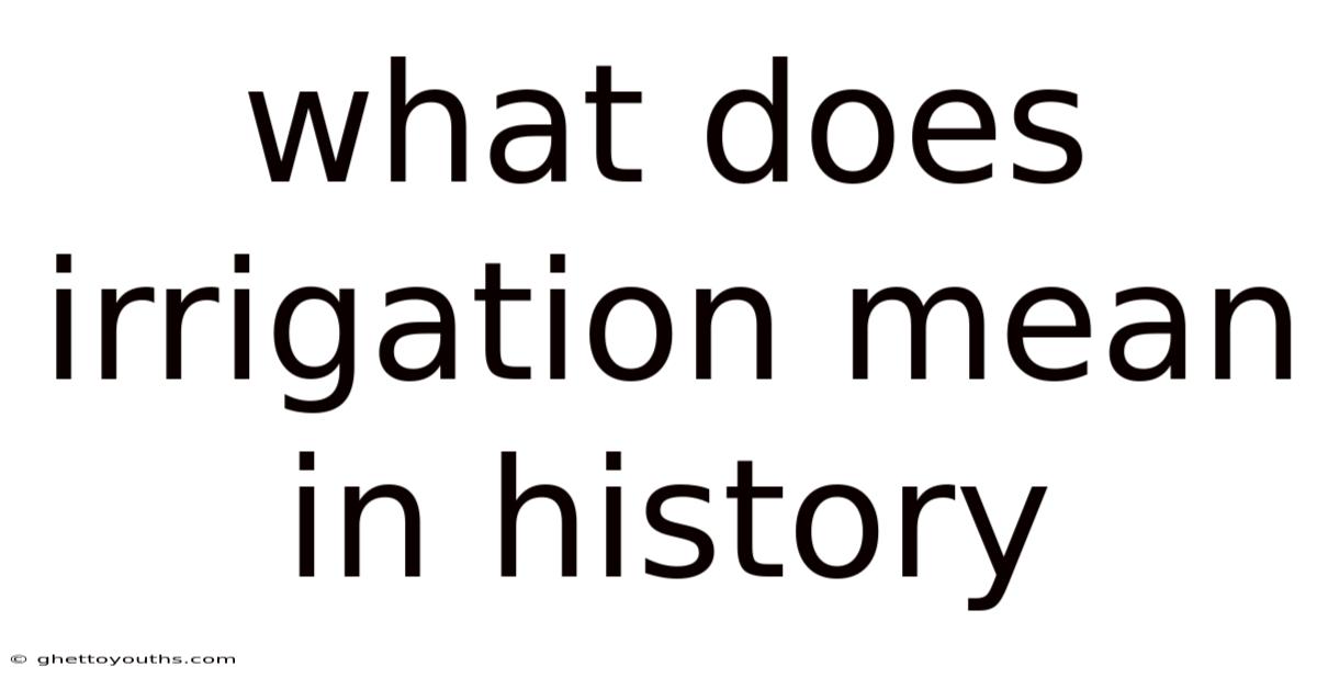 What Does Irrigation Mean In History
