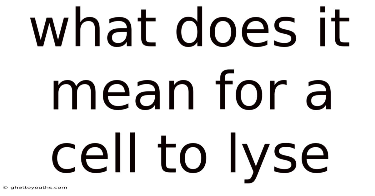 What Does It Mean For A Cell To Lyse