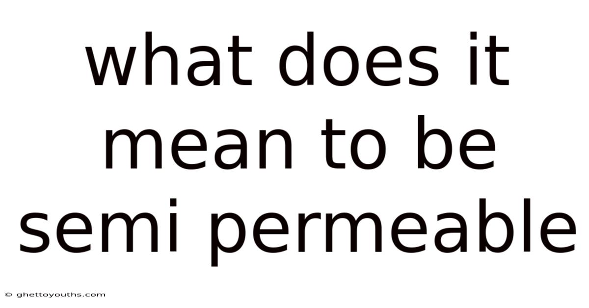 What Does It Mean To Be Semi Permeable
