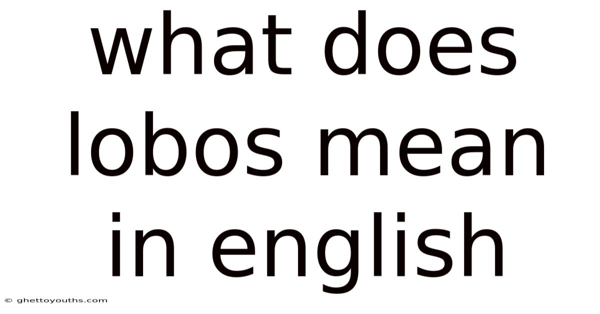 What Does Lobos Mean In English