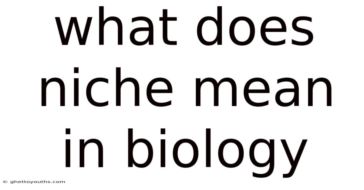 What Does Niche Mean In Biology