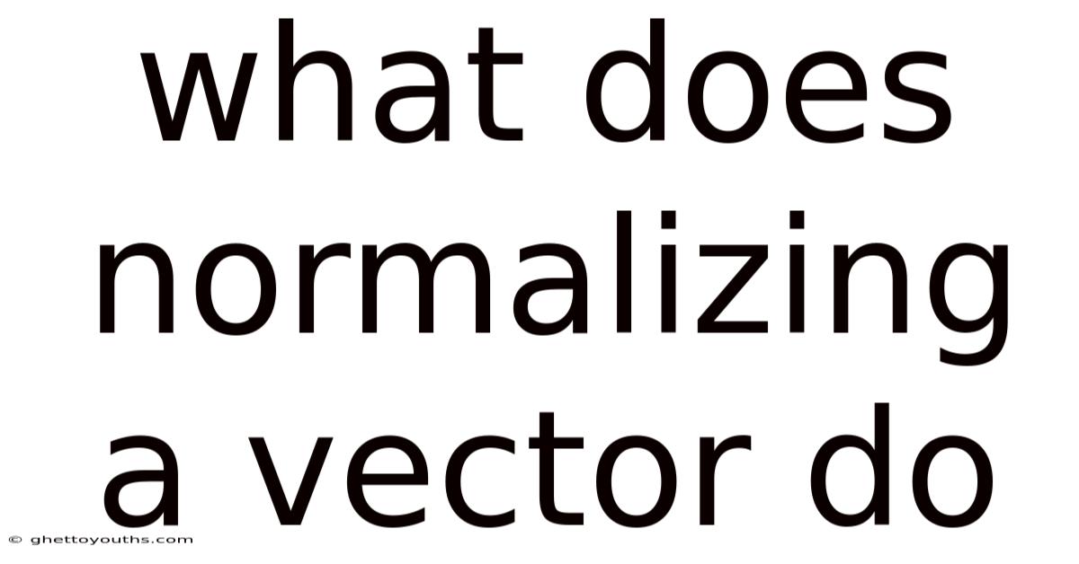 What Does Normalizing A Vector Do