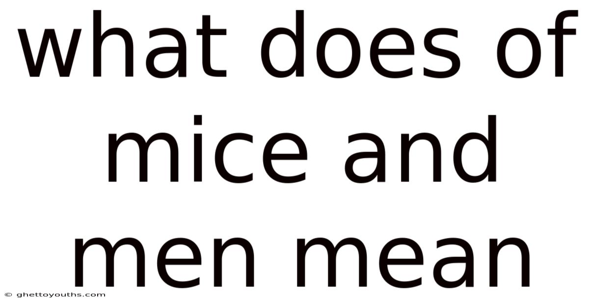 What Does Of Mice And Men Mean