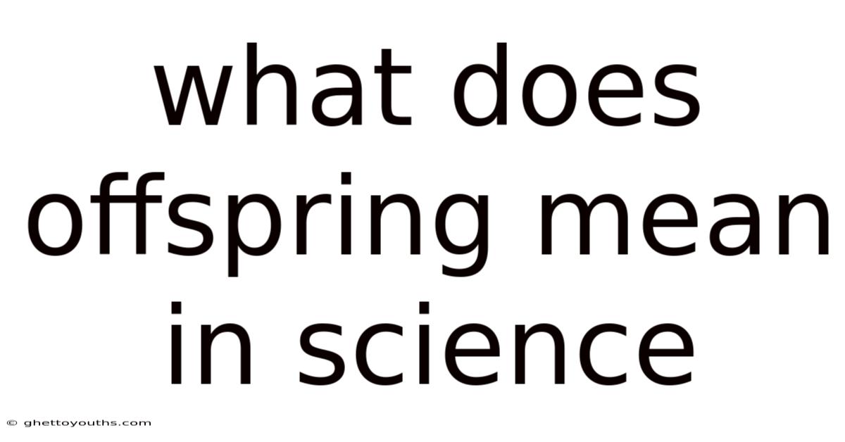 What Does Offspring Mean In Science