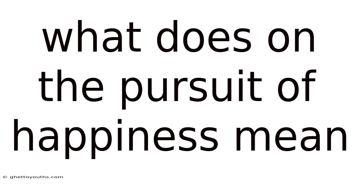 What Does On The Pursuit Of Happiness Mean