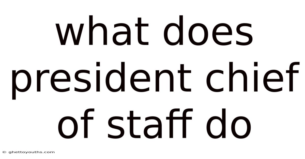What Does President Chief Of Staff Do