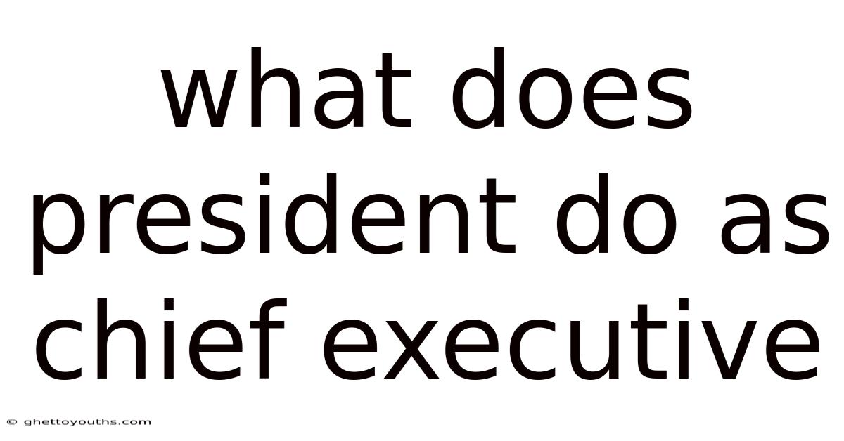 What Does President Do As Chief Executive