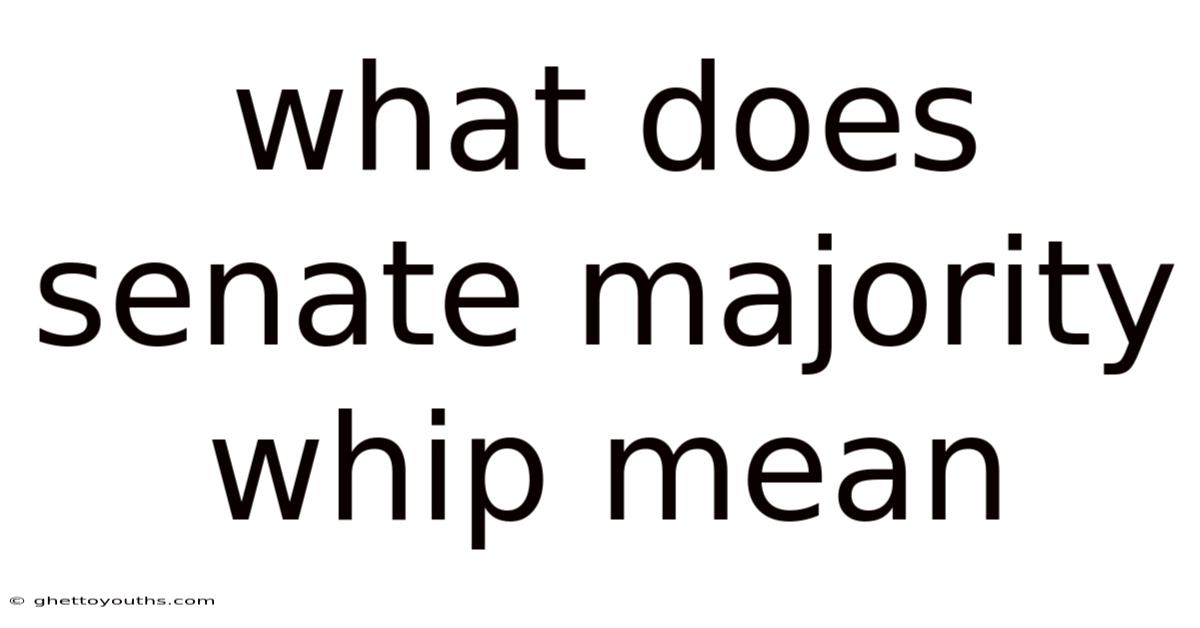 What Does Senate Majority Whip Mean
