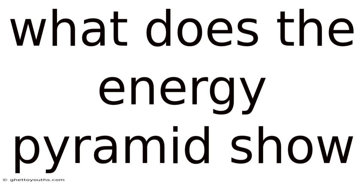 What Does The Energy Pyramid Show