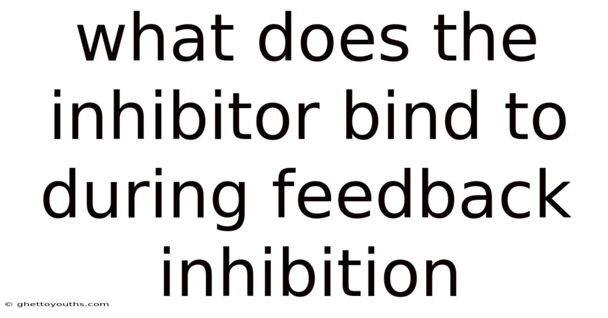 What Does The Inhibitor Bind To During Feedback Inhibition