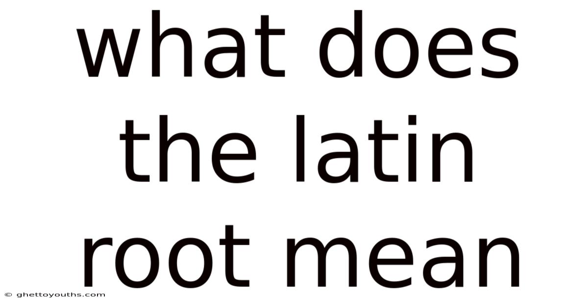 What Does The Latin Root Mean