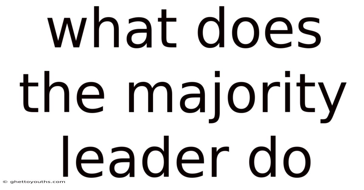 What Does The Majority Leader Do