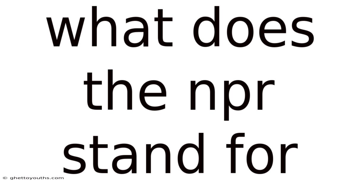 What Does The Npr Stand For