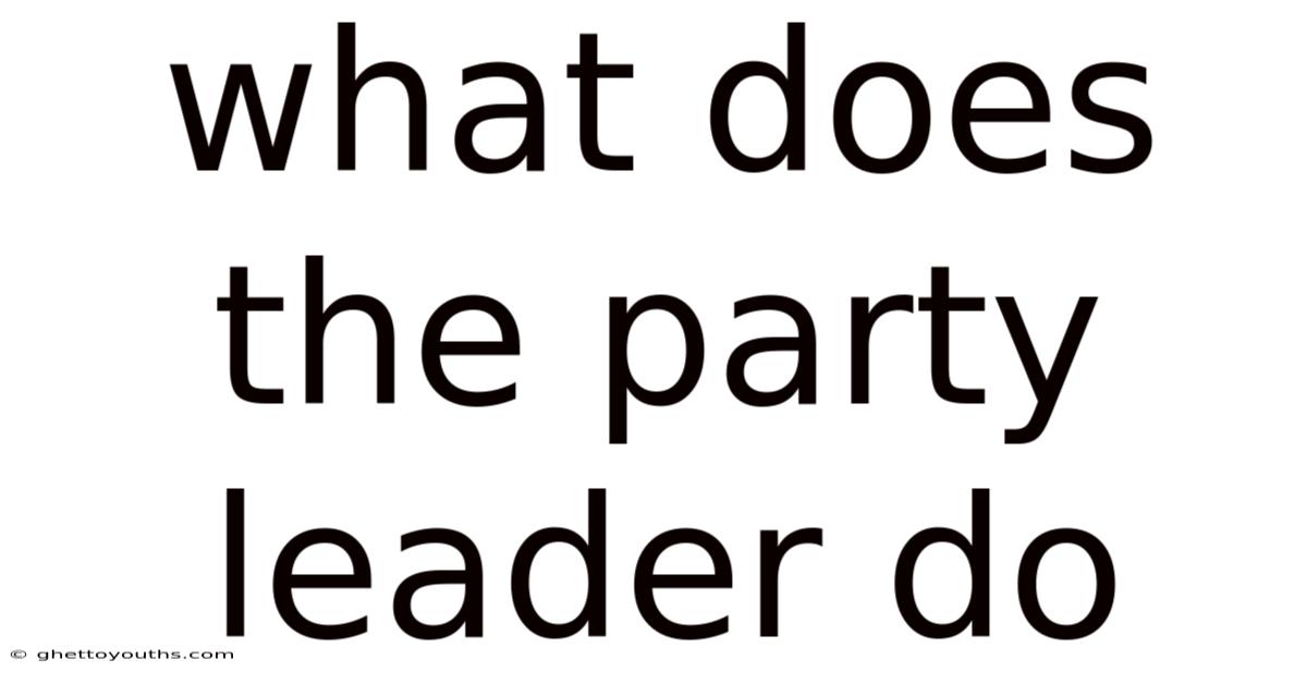 What Does The Party Leader Do