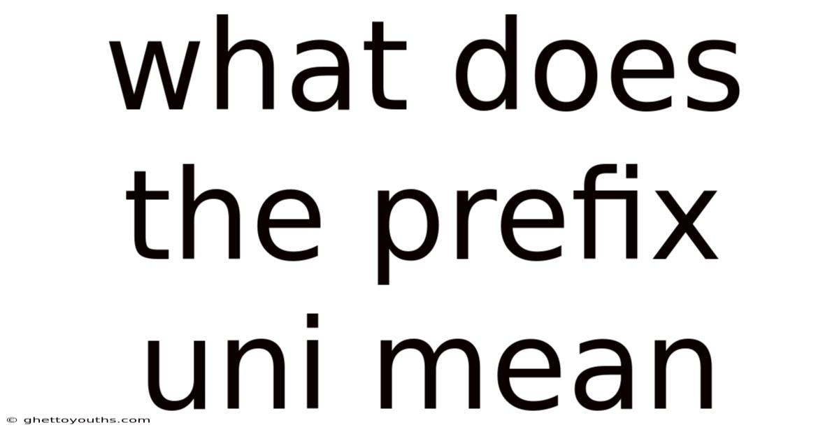 What Does The Prefix Uni Mean