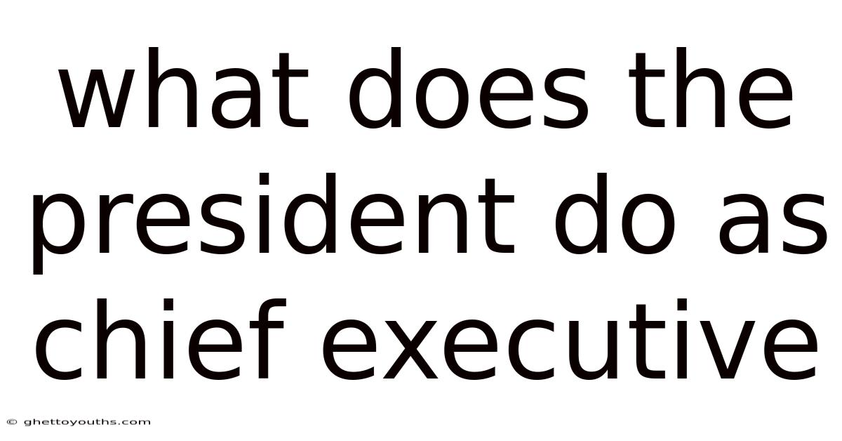 What Does The President Do As Chief Executive