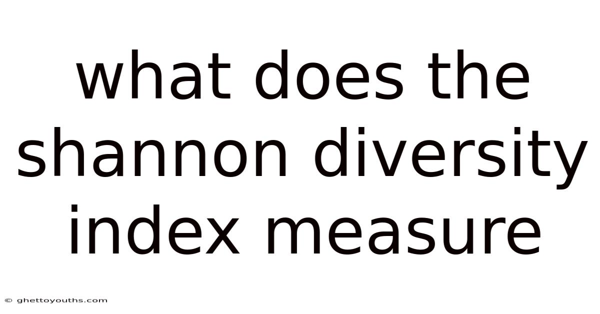 What Does The Shannon Diversity Index Measure