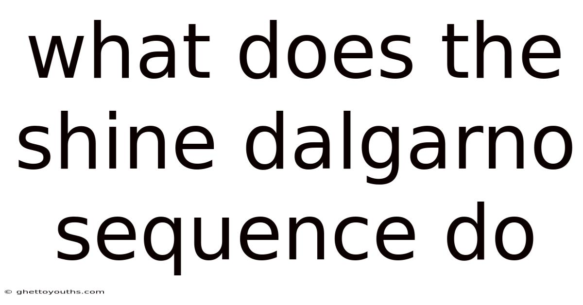 What Does The Shine Dalgarno Sequence Do
