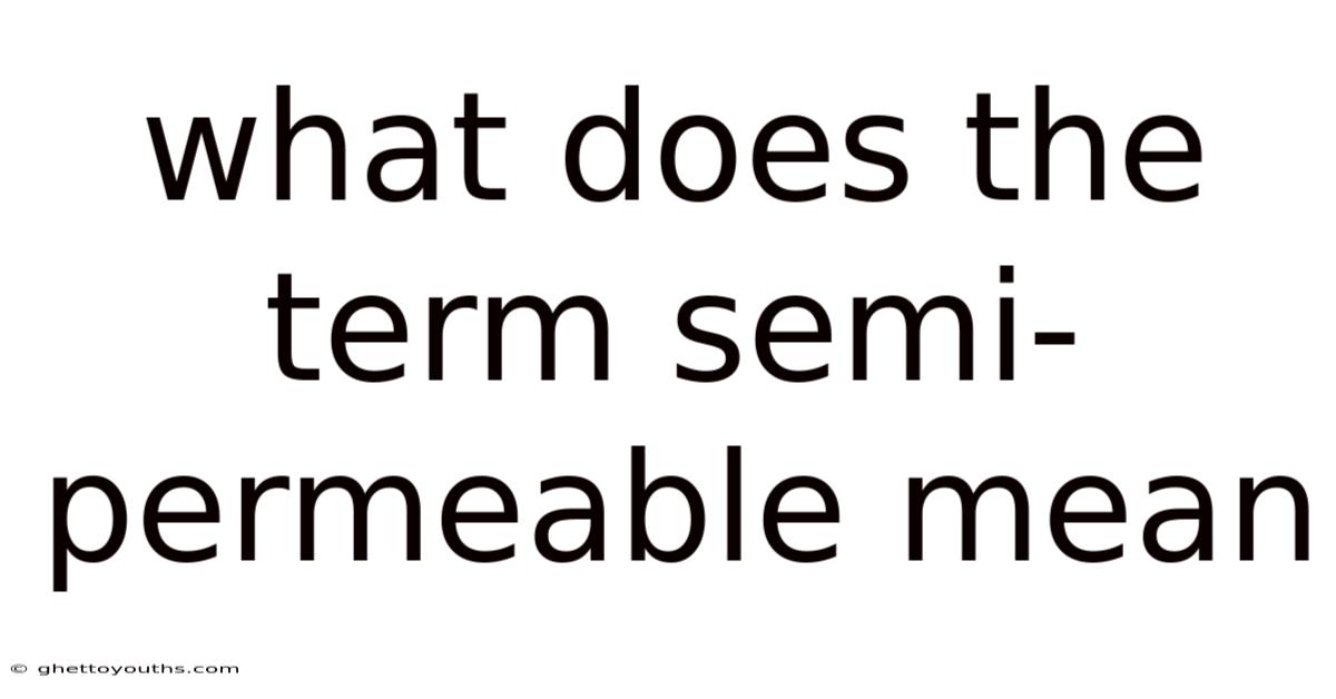 What Does The Term Semi-permeable Mean