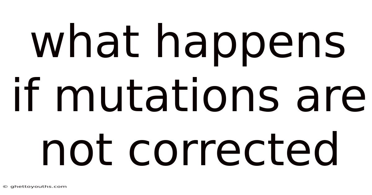 What Happens If Mutations Are Not Corrected