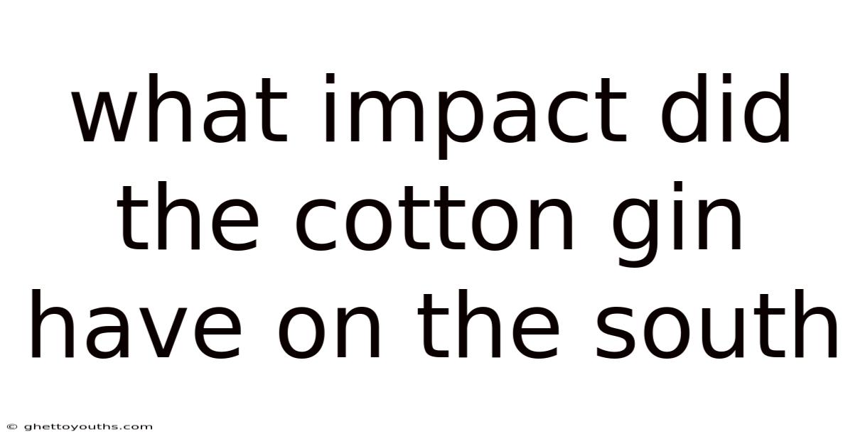 What Impact Did The Cotton Gin Have On The South