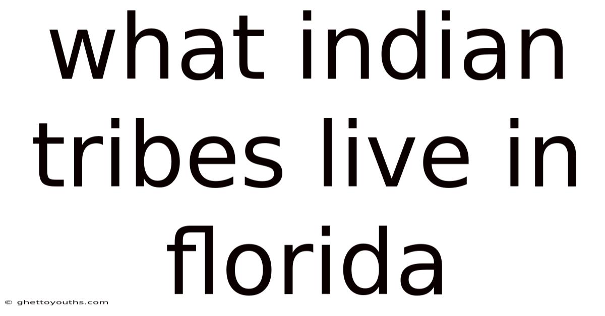 What Indian Tribes Live In Florida