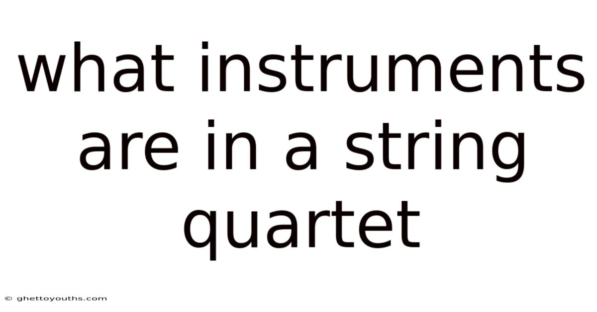 What Instruments Are In A String Quartet