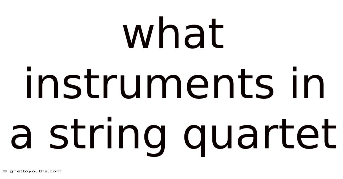 What Instruments In A String Quartet