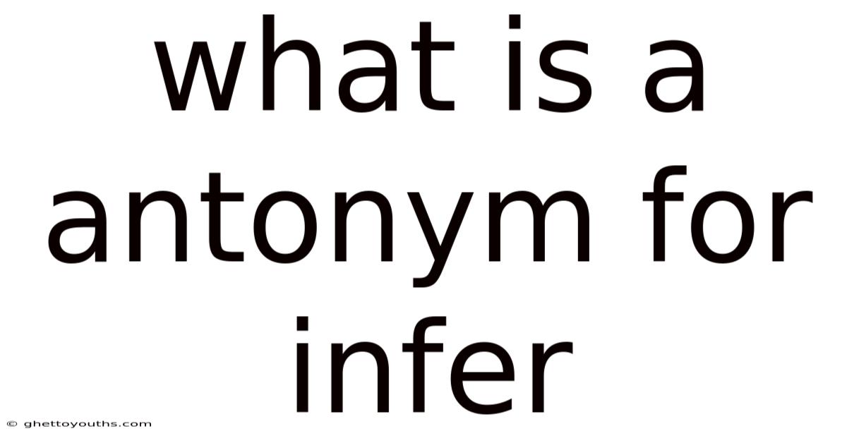 What Is A Antonym For Infer