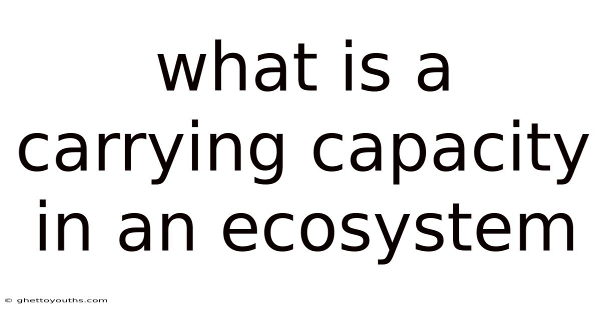 What Is A Carrying Capacity In An Ecosystem
