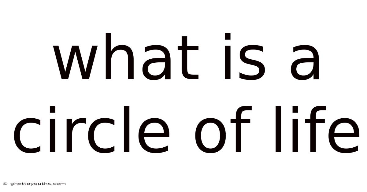 What Is A Circle Of Life