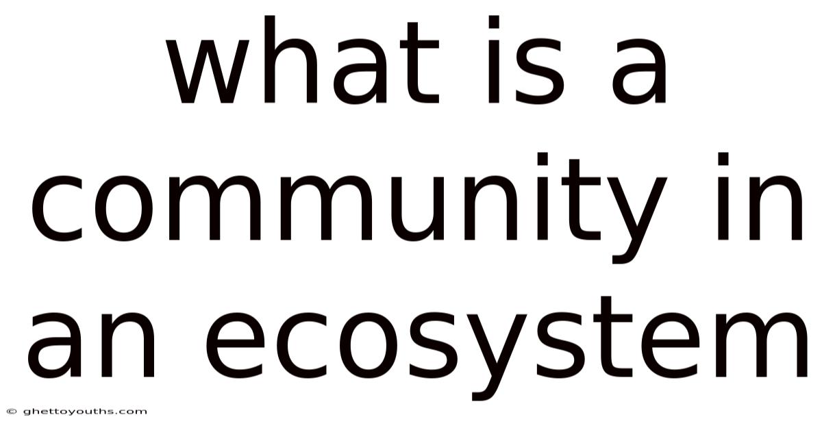 What Is A Community In An Ecosystem