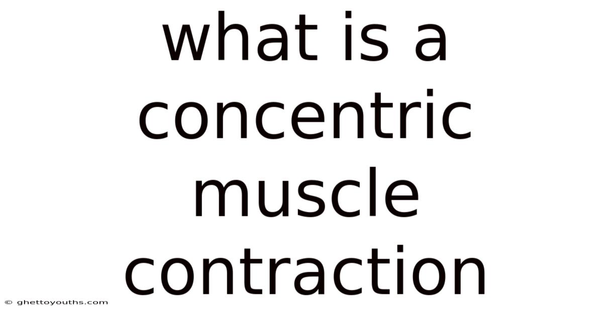 What Is A Concentric Muscle Contraction