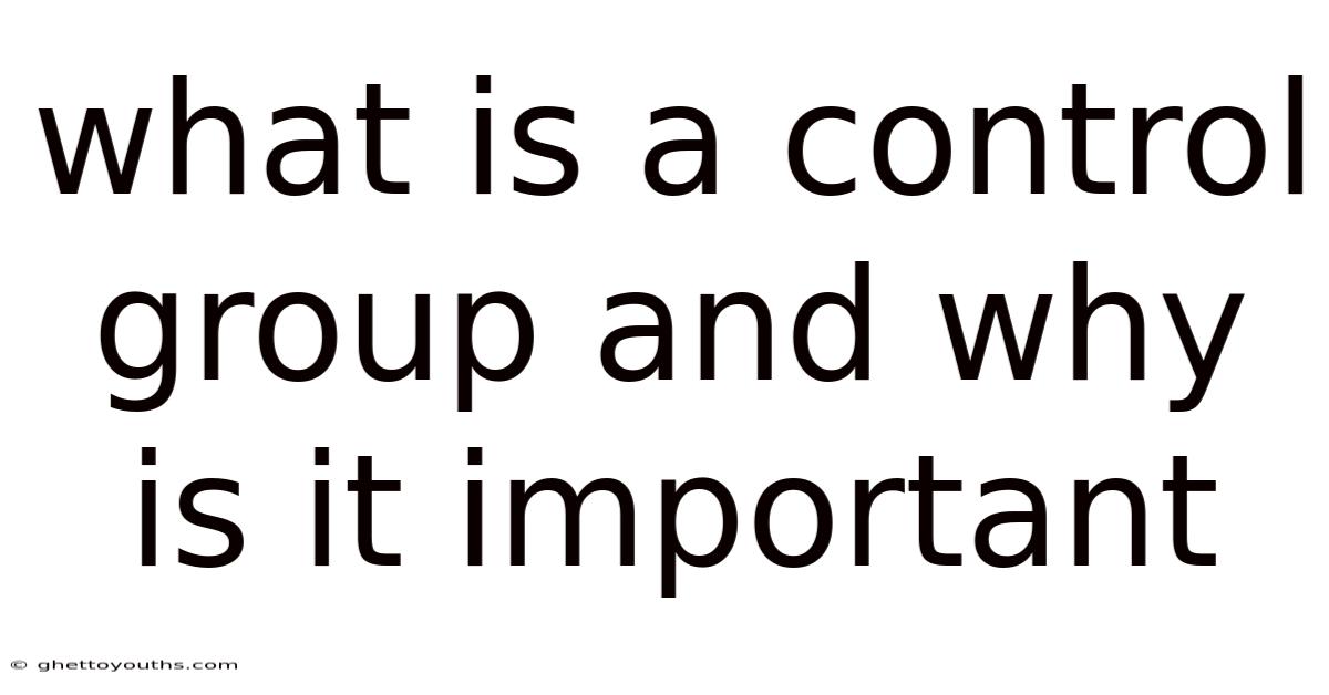 What Is A Control Group And Why Is It Important